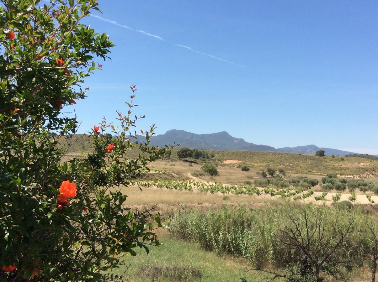 Los Cuatro Vientos B&B Torre del Rico Εξωτερικό φωτογραφία
