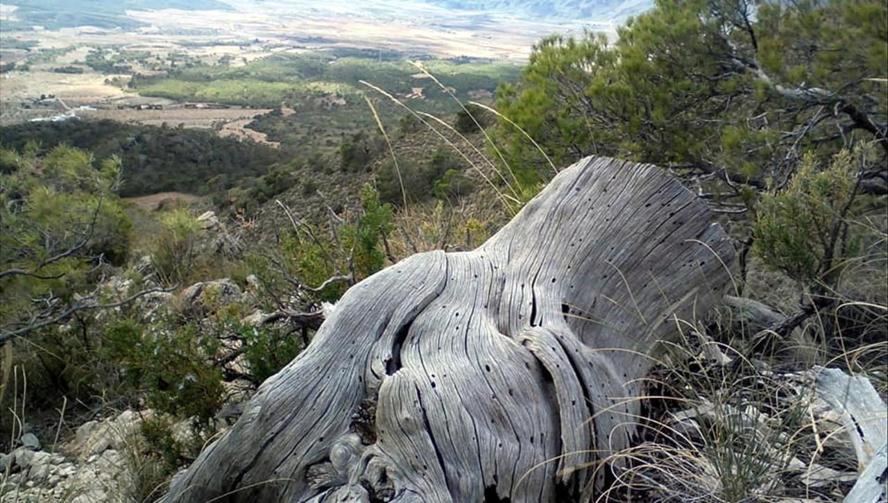Los Cuatro Vientos B&B Torre del Rico Εξωτερικό φωτογραφία